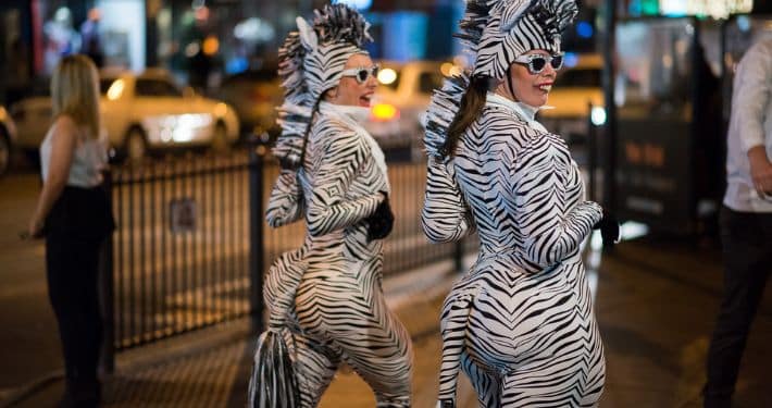 the zebras act