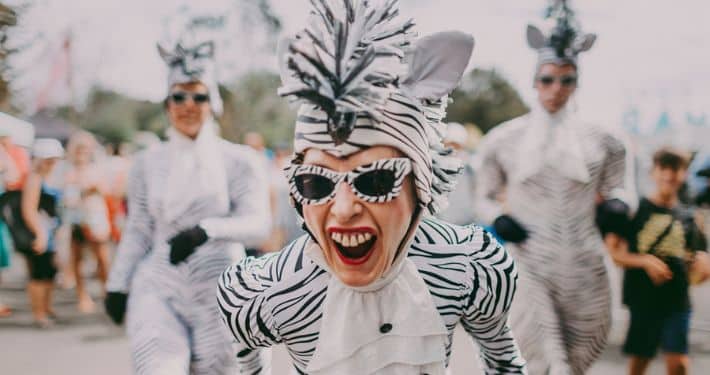 the zebras