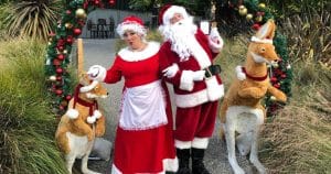 The Mrs Claus Big Bash Christmas Show