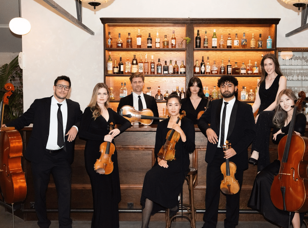 vivid-strings-musicians-at-the-bar-clean